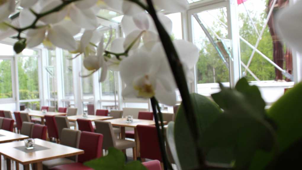 Wintergarten im Sibyllenbad-Restaurant